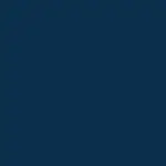 Navy Blue Color