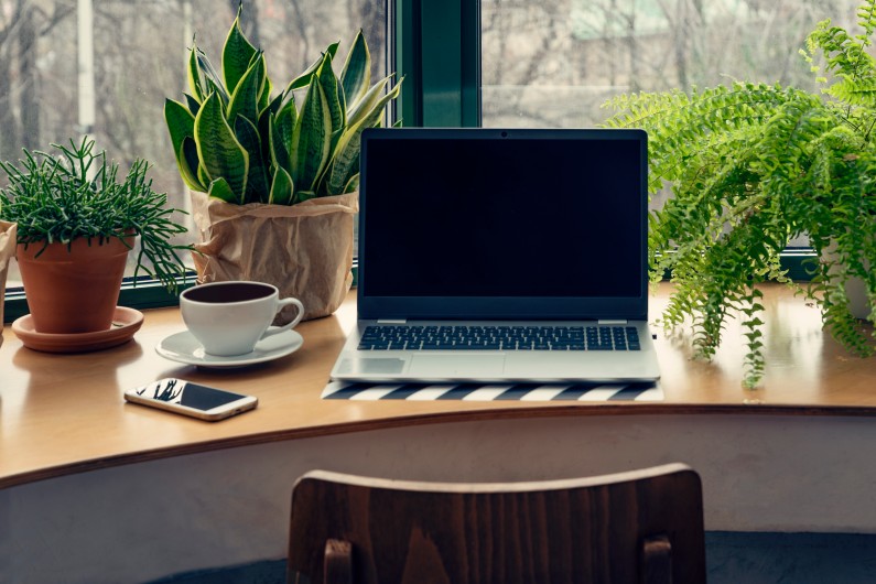 Small window desk with plants