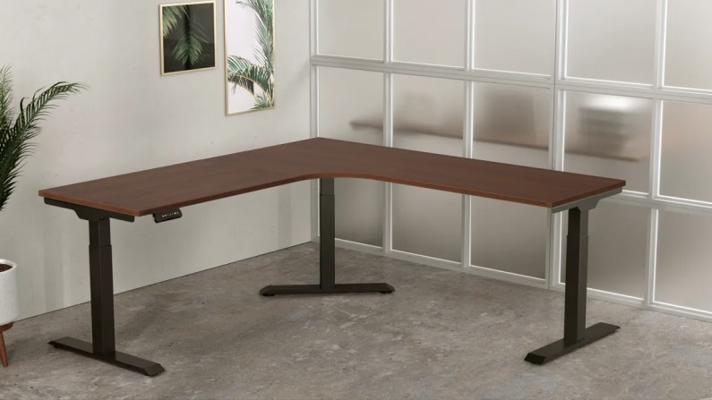 Black base with Walnut Desktop