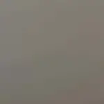 Taupe Color