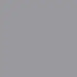 Gray Frame Color