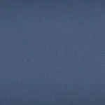 Dark Blue Color