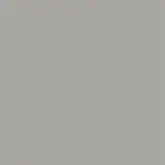 Oyster Color