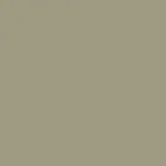 Pewter Color