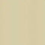 Beige Color