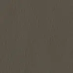 Slate Vinyl Color