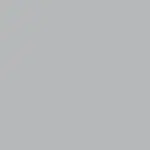 Designer Silver Color
