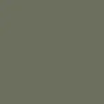 Niro Green Color