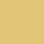 Niro Yellow Color