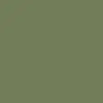 Verde Green Color