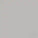 Fashion Gray Finish