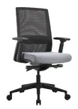 Gray Ergonomic Office Chair