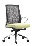 Executive Task Chair with Green Seat Cover