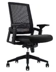 Mesh Back Task Chair with Lumbar Support