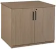 Storage Cabinet with Doors
