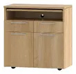 Mobile Serving Cart