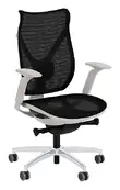 Mid Back Mesh Office Chair