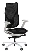 High Back Office Chairs