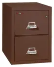 2 Drawer Vertical Fireproof File Cabinet - 21 Wide