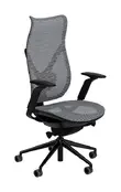 Ergonomic Office Chair