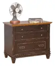 Black Wood File Cabinet