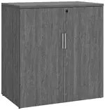 Office Storage Cabinet