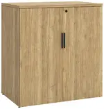 Office Storage Cabinet