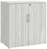 Office Storage Cabinet