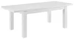Modern Glossy Extension Table