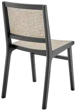Modern Rattan Guest Chair