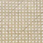 Modern Rattan Guest Chair