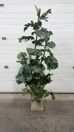 5.5 FT Tall Artifical Fake Plant Home Office Decor
