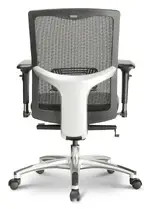 Mesh Back Task Chair with Lumbar Support