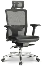 Mesh Back Task Chair with Headrest