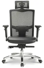 Mesh Back Task Chair with Headrest