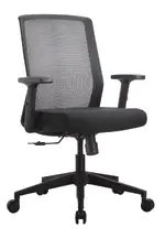 Mesh Back Task Chair with Arms