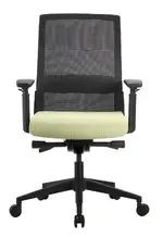 Mesh Back Task Chair with Green Seat Cover