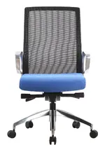 Executive Task Chair with Blue Seat Cover