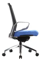 Executive Task Chair with Blue Seat Cover