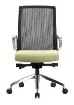 Executive Task Chair with Green Seat Cover