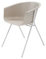 Molded Plastic Chair