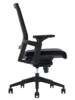 Mesh Back Task Chair with Lumbar Support