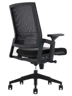 Mesh Back Task Chair with Lumbar Support