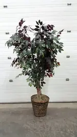 Beautiful Red 6FT Tall Artificial Fake Plant Tree