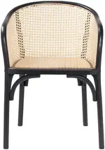 Modern Rattan Armchair 