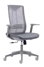 Mesh Back Task Chair with Lumbar Support