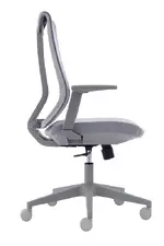 Mesh Back Task Chair with Lumbar Support