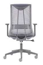 Mesh Back Task Chair with Lumbar Support