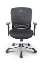 Mesh Back Task Chair with Lumbar Support