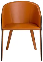 Modern Barrel-Back Chair